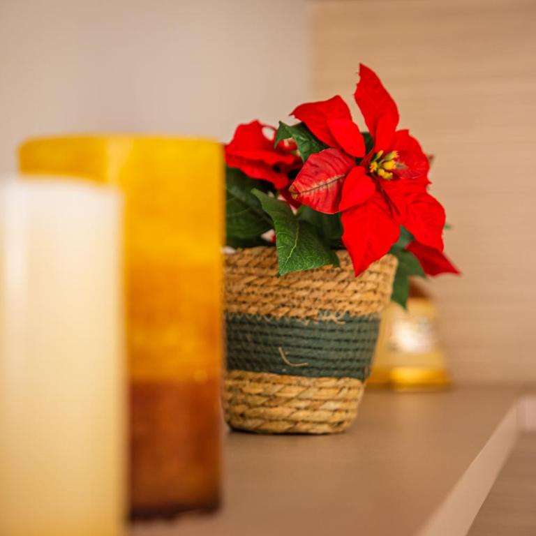 CARTAGENAFLATS, Apartamentos Calle Mayor II, PREMIUM FLATS CITY CENTER - Apartamento de 1 dormitorio - 31