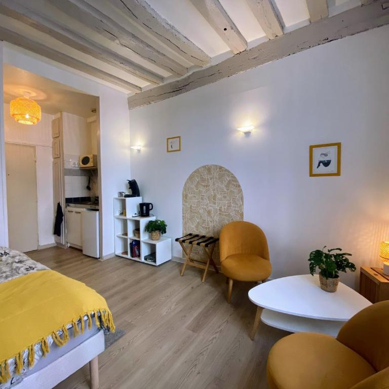 Joli studio hyper centre - Apartment mit 1 Schlafzimmer - 2