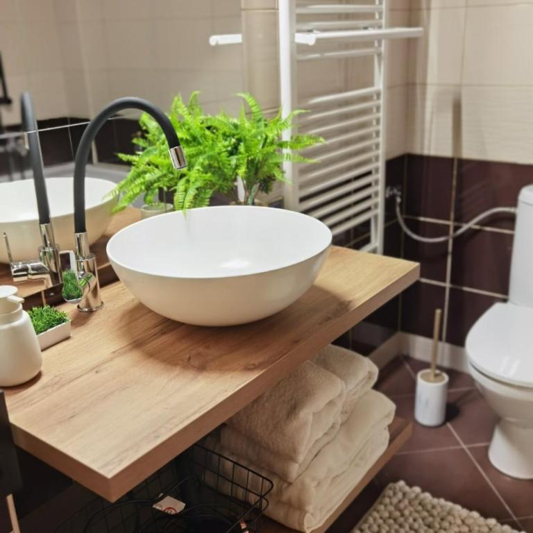 Prestige Banja Luka - Apartman sa 1 Spavaćom Sobom - 49