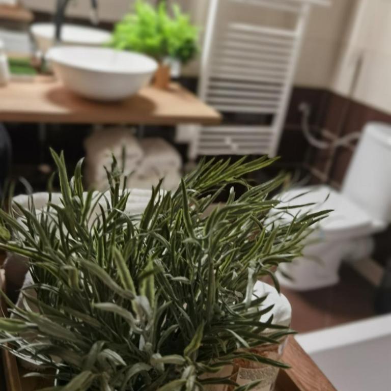 Prestige Banja Luka - Apartman sa 1 Spavaćom Sobom - 52