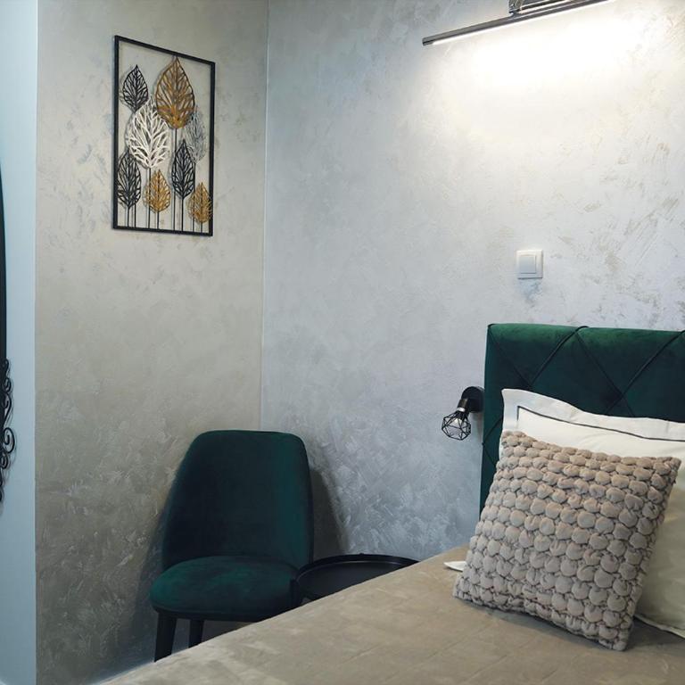 Aster Apartments - Standardna Soba sa King-sajz Krevetom - 4