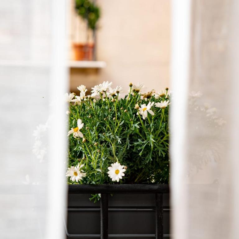 Casa Gagini - Monolocale Standard - 5