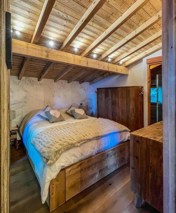 Chalet de luxe sur les pistes - 5 chambres - Chalet - 4