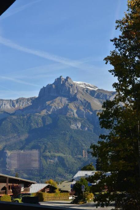 Chalet de luxe sur les pistes - 5 chambres - Chalet - 6