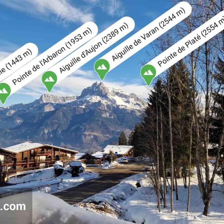Chalet de luxe sur les pistes - 5 chambres - Chalet - 29