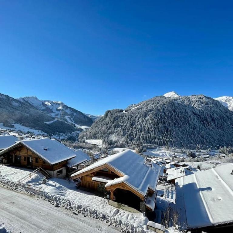 La P'tite Grange - Apt 302 - BO Immobilier- Reduced prices on ski passes Châtel & Portes du Soleil - Appartement 3 Chambres - 2