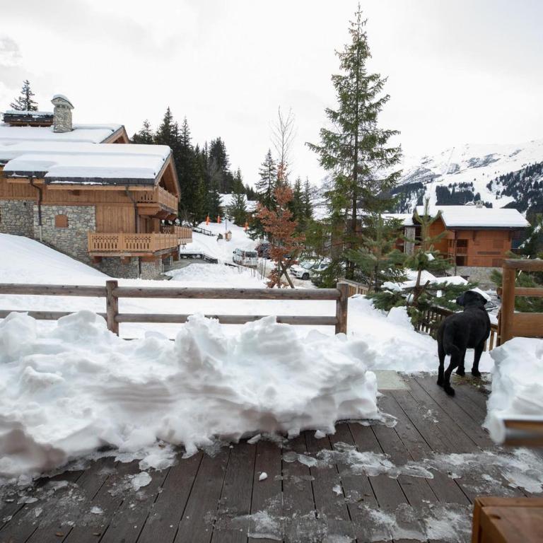 Chalet Méribel : Ski aux pieds, spacieux, lumineux avec cheminée - Chalet 3 Chambres - 2