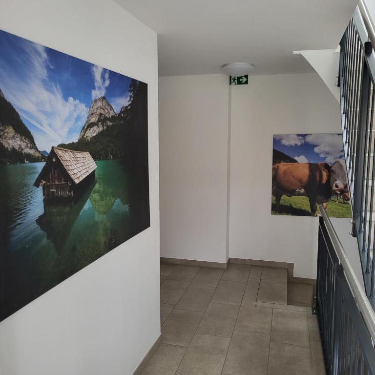 Quartier No 7 Salzburg Süd Apartments - Appartement 1 Chambre - 8