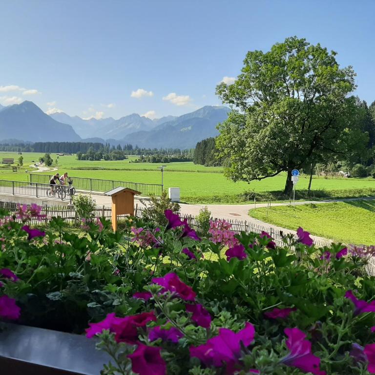 Landhaus Bergkristall - Sommer Bergbahnen inklusive - Apartment mit 1 Schlafzimmer - 9