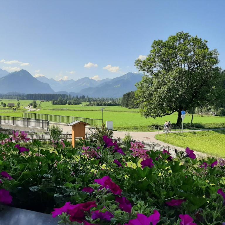 Landhaus Bergkristall - Sommer Bergbahnen inklusive - Apartment mit 1 Schlafzimmer - 17