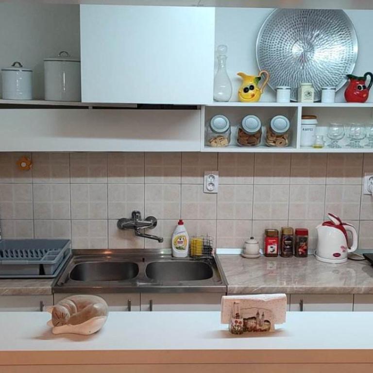 APARTMAN ANDJELIC - Apartman sa 1 Spavaćom Sobom - 10