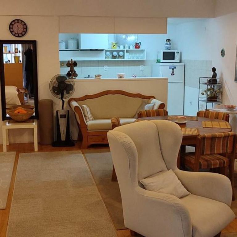 APARTMAN ANDJELIC - Apartman sa 1 Spavaćom Sobom - 8