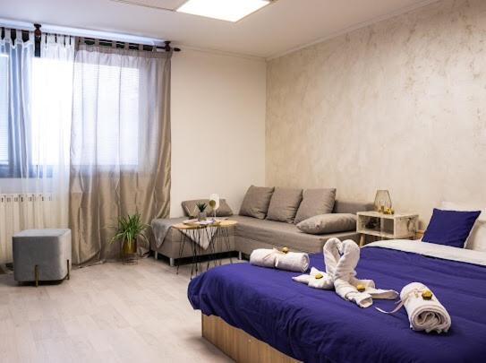 Center Cozy Apartment - One-Bedroom Apartment - 5