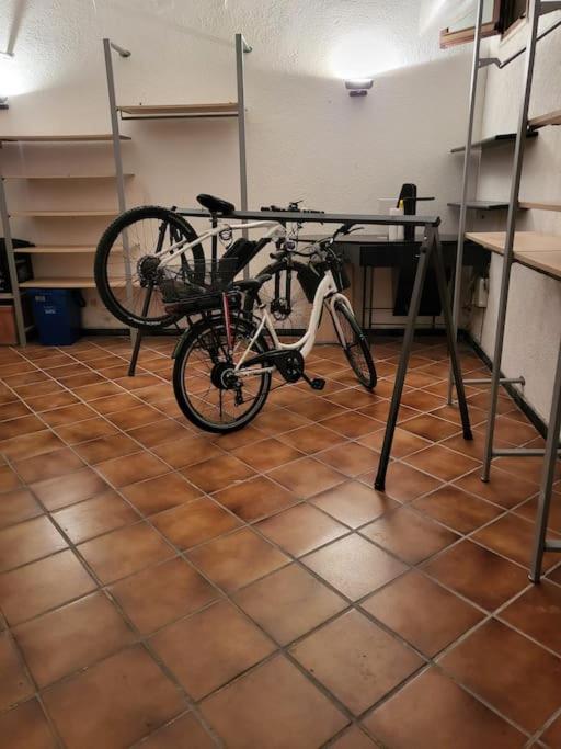 Casa Pamy- Bike Friendly 9029LT1161 - Appartamento con 1 Camera da Letto - 2