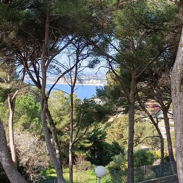 Appartement T2 Sanary sur mer - Apartment mit 1 Schlafzimmer - 3