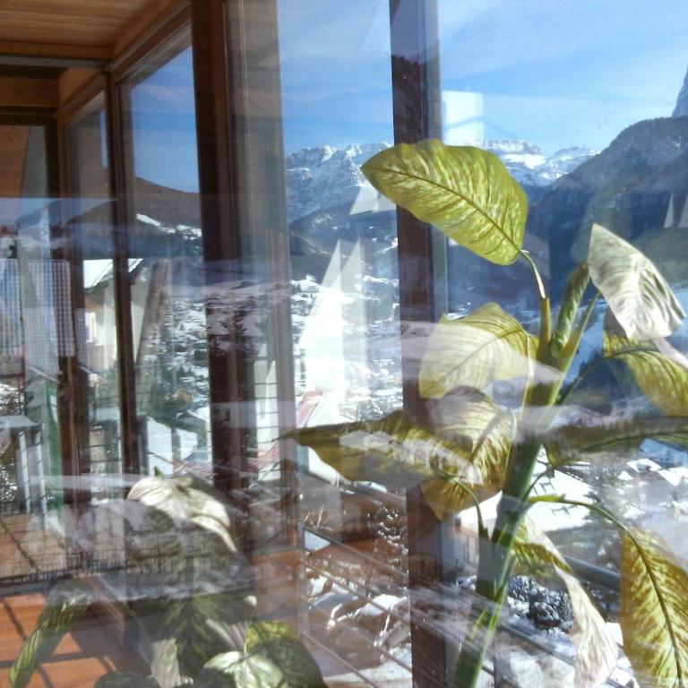 Apartments Markus - Appartamento con 3 Camere da Letto (6) - 5