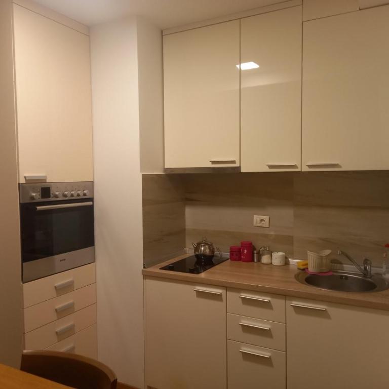 Vila Borova Zlatibor Apartman 501 - Two-Bedroom Apartment - 1