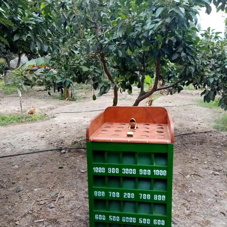 Cabañas o habitación en Fundo Huabayor - Family Room with Private Bathroom - 12