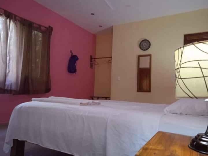 Ecohotel Shalom - Habitación Estándar - Cama extragrande - 12