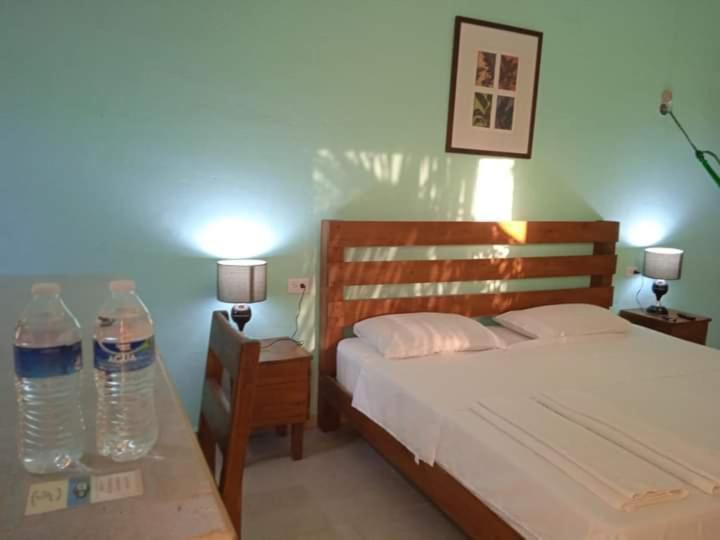 Ecohotel Shalom - Habitación Estándar - Cama extragrande - 13