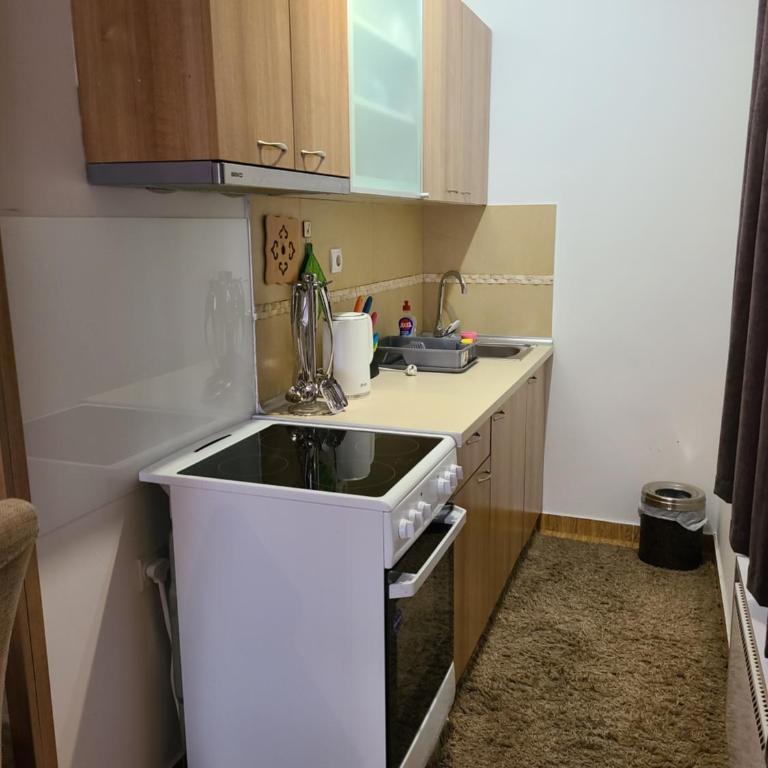 Apartman B 8 - Lapčević u zgradi MUJEN LUX, Kopaonik - One-Bedroom Apartment - 9