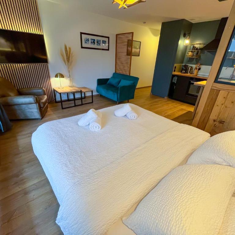 Résidence Emeraude - Centre Village - AravisTour - Studio Lit Queen-Size - 11