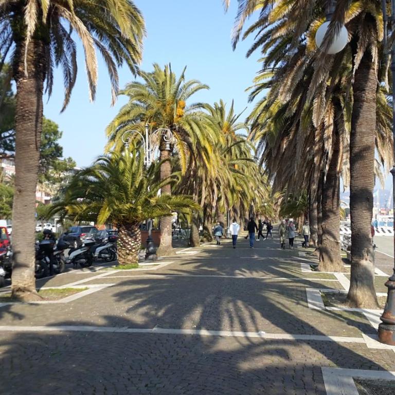 ELI&FRA 1 - Appartamento - 44