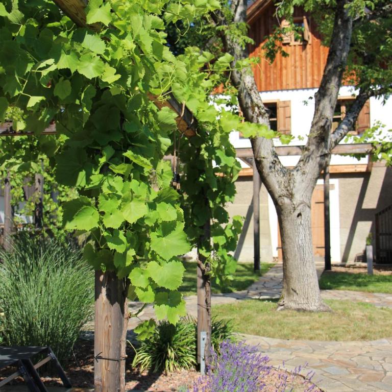 Weingartenrefugium Rosenberg - Chalet - 18