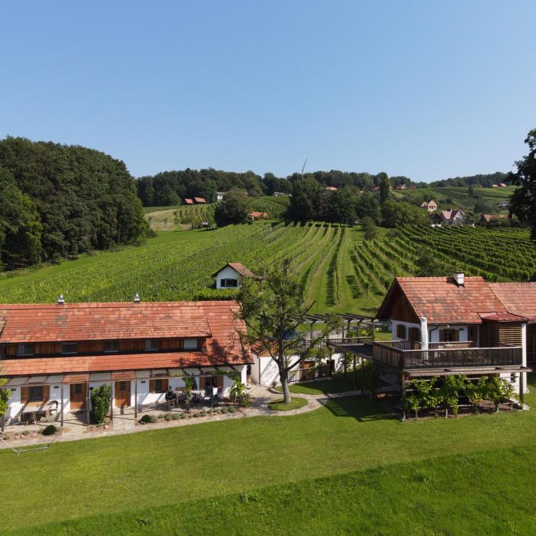 Weingartenrefugium Rosenberg - Chalet - 14