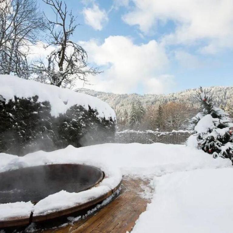 Chalet Renard in Morzine - Chalet - 5