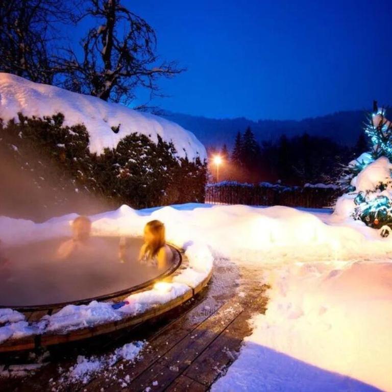 Chalet Renard in Morzine - Chalet - 6
