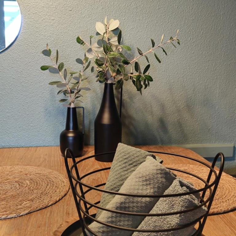 Appart Cosy Green, Océan, Golf, Piscine, Wifi - Appartement 1 Chambre - 21