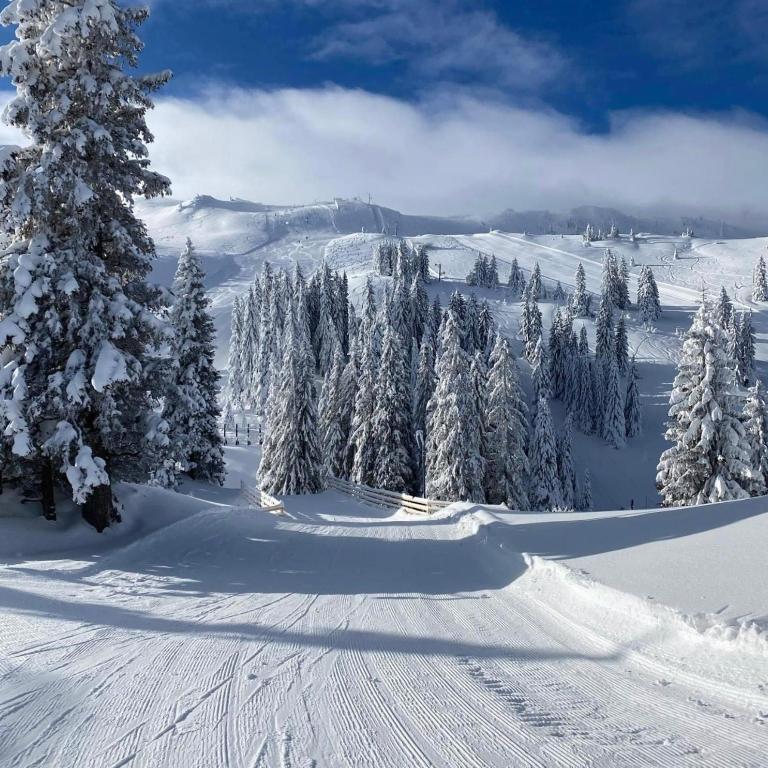 Apartman 107 in Aparthotel Vučko Jahorina - Ski & relax - private host - Apartment - 58