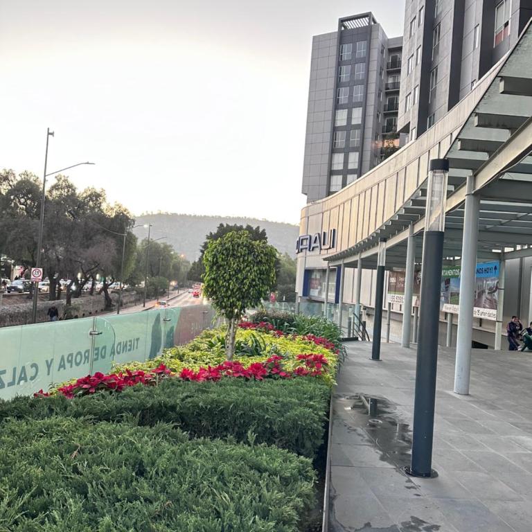 Entire Luxurious Apartment in Shopping Mall - Apartment - 36