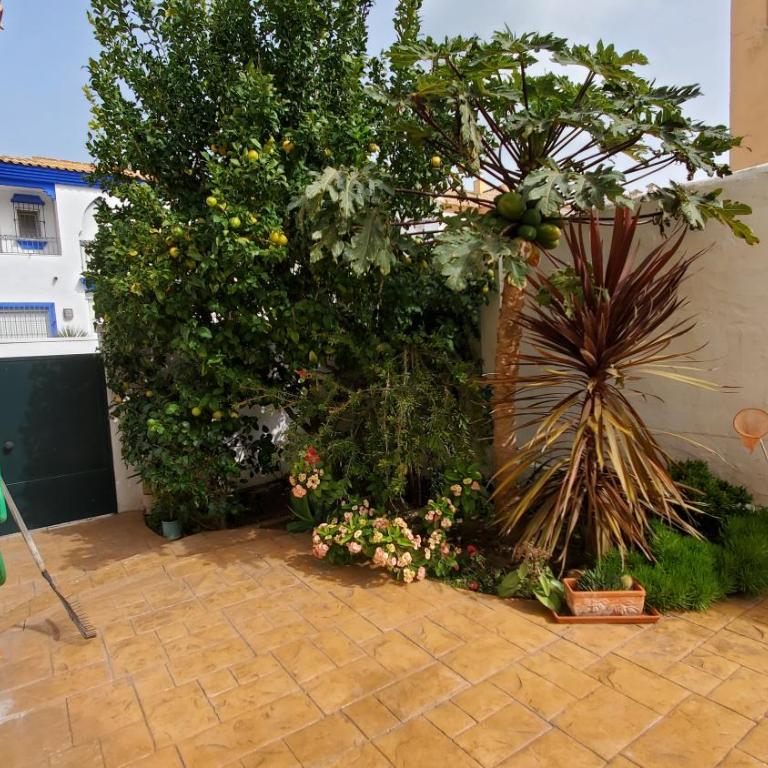 Villa Tahona - Villa de 3 dormitorios - 4