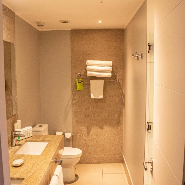 Radisson Hotel Curico - Business King Room - Non-Smoking - 5
