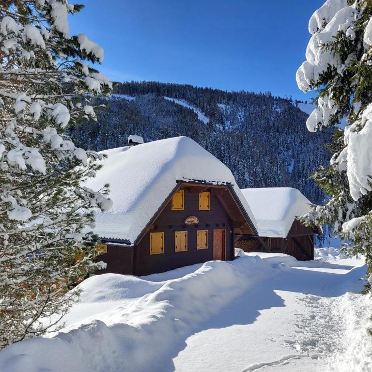 Almhaus Gensbach - Chalet mit 3 Schlafzimmern - 67