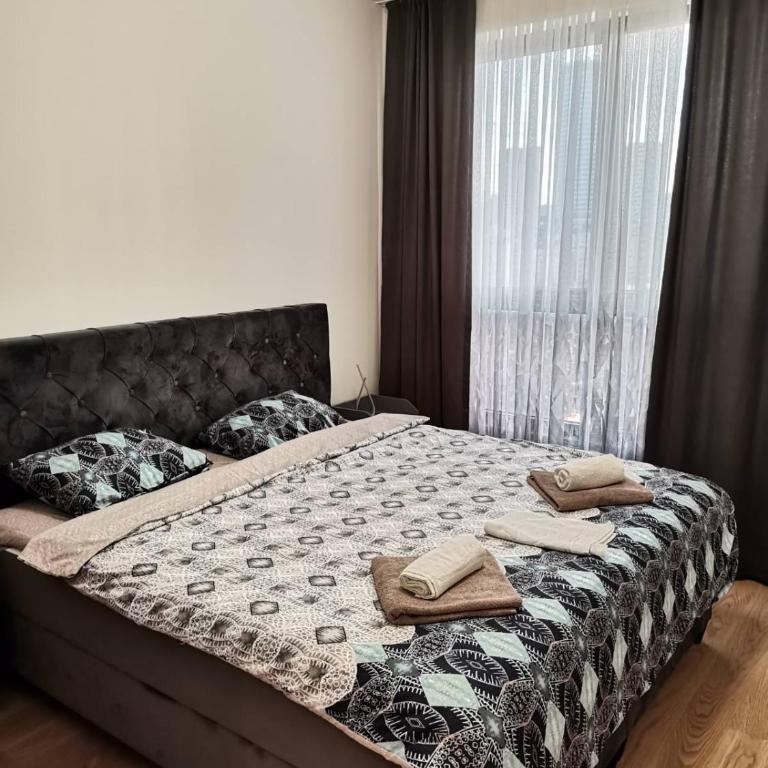 Aurora BW - Two-Bedroom Apartment - 11