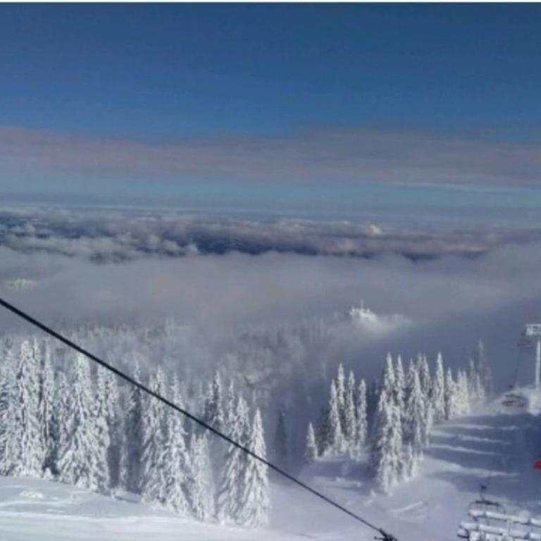 Apartman 107 in Aparthotel Vučko Jahorina - Ski & relax - private host - Apartment - 60