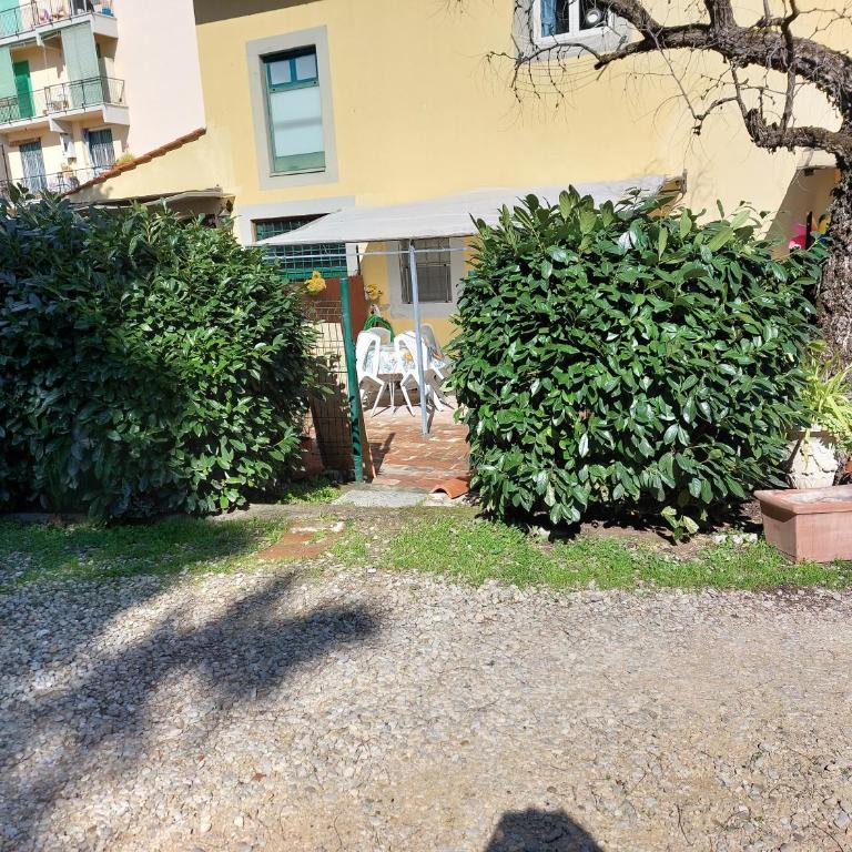 La Piccola Oasi con parcheggio - Appartamento - 28