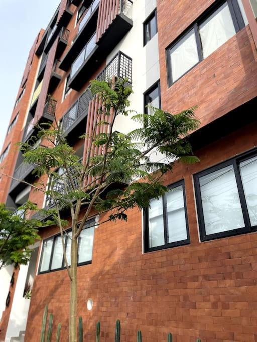 Magnífico depa a estrenar - Apartamento de 2 dormitorios - 22