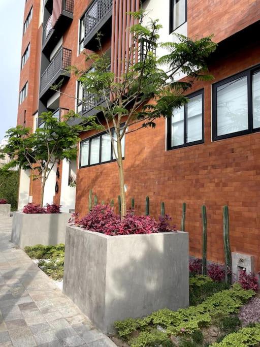 Magnífico depa a estrenar - Apartamento de 2 dormitorios - 23