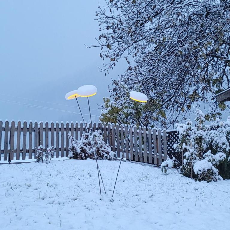 Waldhof - Appartamento con 2 Camere da Letto - 30