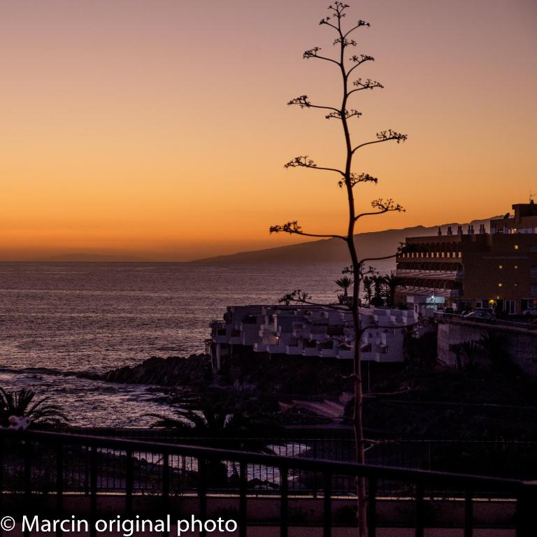 Tenerife lizards - duplex in the first line - Casa de 2 dormitorios - 29