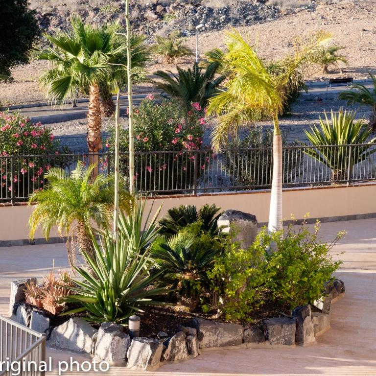Tenerife lizards - duplex in the first line - Casa de 2 dormitorios - 30