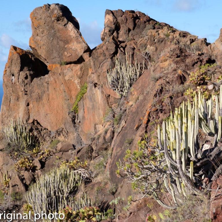 Tenerife lizards - duplex in the first line - Casa de 2 dormitorios - 49