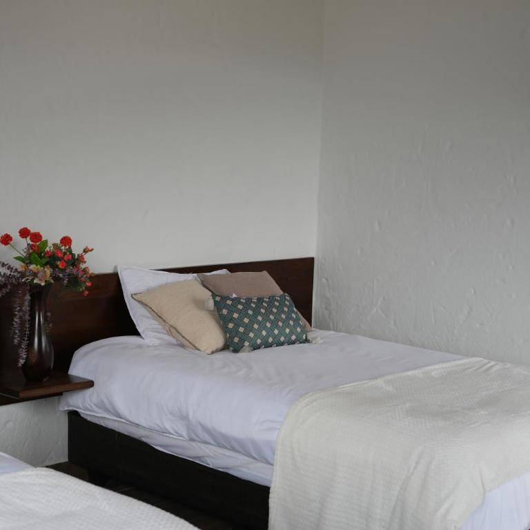 Aldea Tipi: El Molino de Aldebarán - Casa de 2 dormitorios - 3