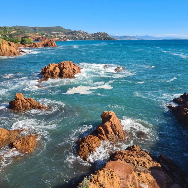 Petit coin de paradis sur la mer - Apartamento de 1 dormitorio - 5