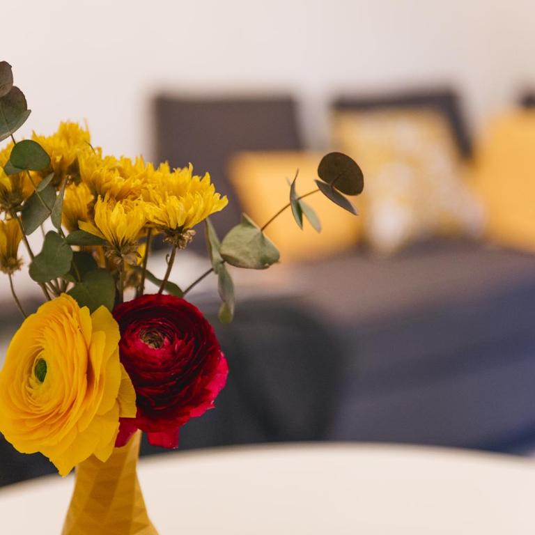 Domusbergamo - Bonbon Apartment, Quiet & Center - Appartamento - 3