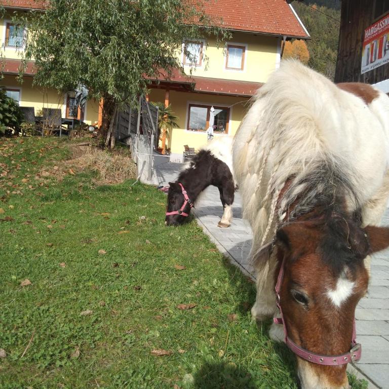 Karlbauer Hütte - Haus mit 3 Schlafzimmern - 18